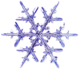 snow-flake